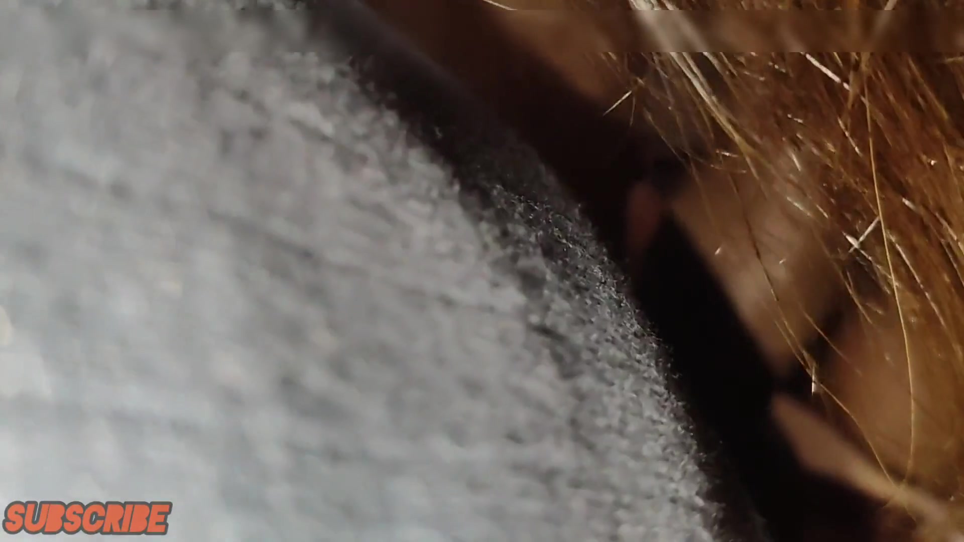 Frame 6