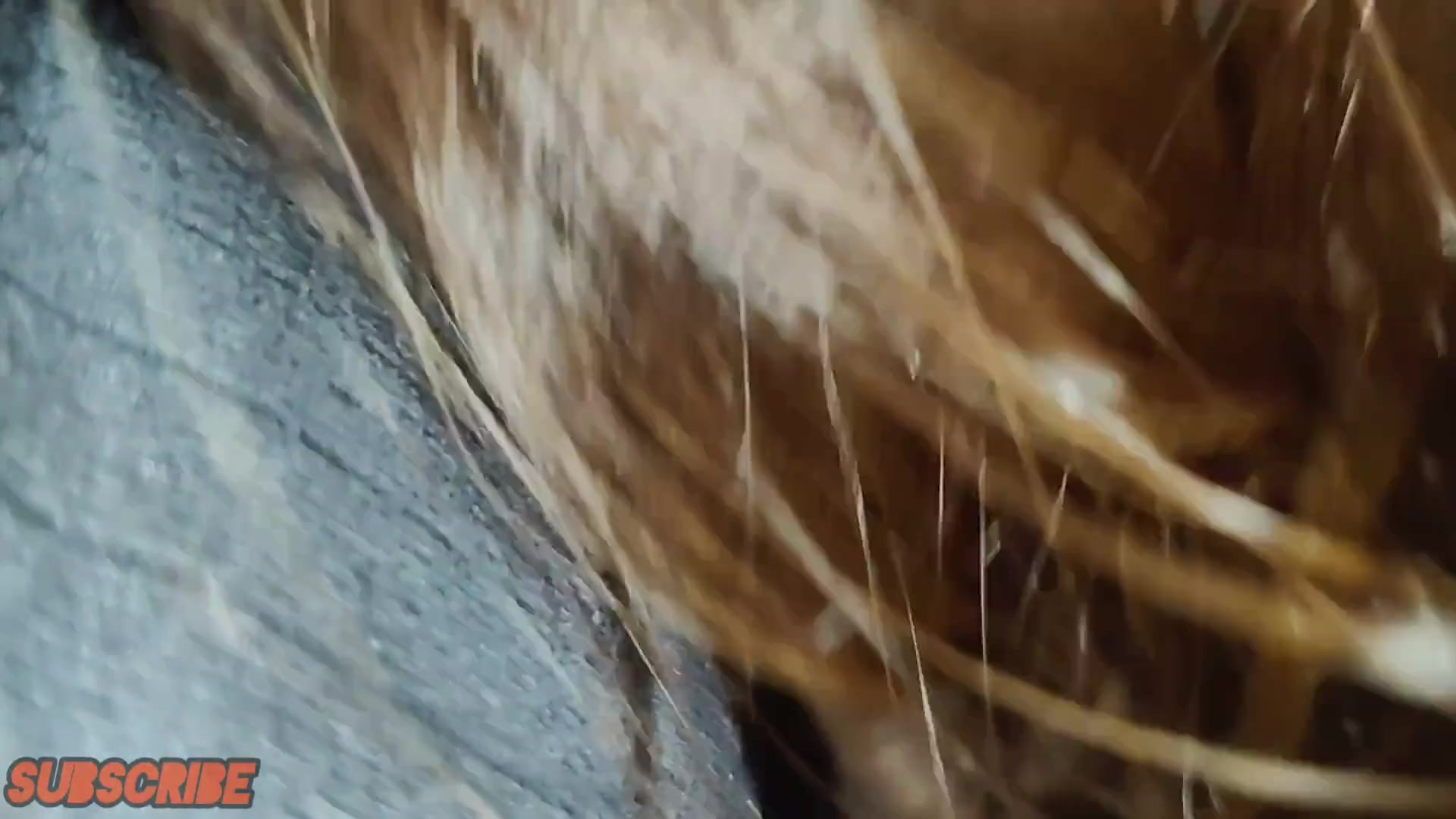 Frame 8