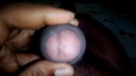 college boy sex,Telugu sex videos, telugu boy video,desi videos, desi sex videos, cum in mouth, cum inside , boy sex videos