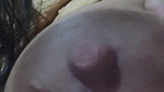 Desi bhabhi ki chut ki khujli mitayega kon Telegram me msg karo