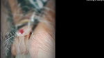 Desi bhabhi ne blowjob devar diya ko xxx