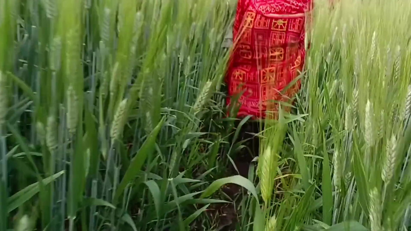 Desi Local Village Outdoor Fucking Village Outdoor Sex