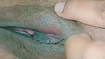 Desi Pussy