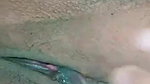 Desi Pussy
