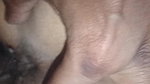 desi satisfaction step daughter and stepfather