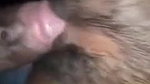 Desi virgin gf first time blowjob and fucking