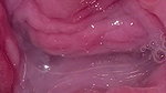 Feel the Breath in Full Cum Inside the Indian Pussy