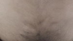 Gf and bf hard fuck
