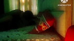 Honeymoon Night Bhabhi with BBC Part 3