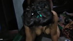 Hot Indian wife Suhagrat Hard fucking video part 2