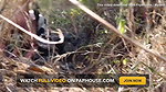 I Fucked My Old Girlfriend in the Forest
