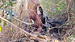 I Fucked My Old Girlfriend in the Forest