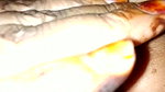 Shy Village Bhabhi Hairy Pussy Fucking