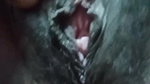 I Vibrate My Hairy Pussy & Spank My Big Black Ass for a Mexican Tamil Bull – Indianhotwifex