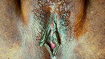 INDIAN AUNTY HOUSE WIFE HOT AND LOUD MOANING BY FINGERING IN WET PUSSY