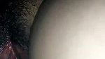 Tamil Wife Pussy
