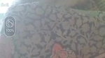 Mature bhabhi showing to lover