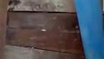 Shy Desi Girl Arpita Showing on Video Call