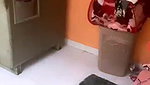Ayushi Jaiswal Full Sexy Boobs Show On Live