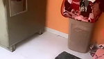 Ayushi Jaiswal Full Sexy Boobs Show On Live