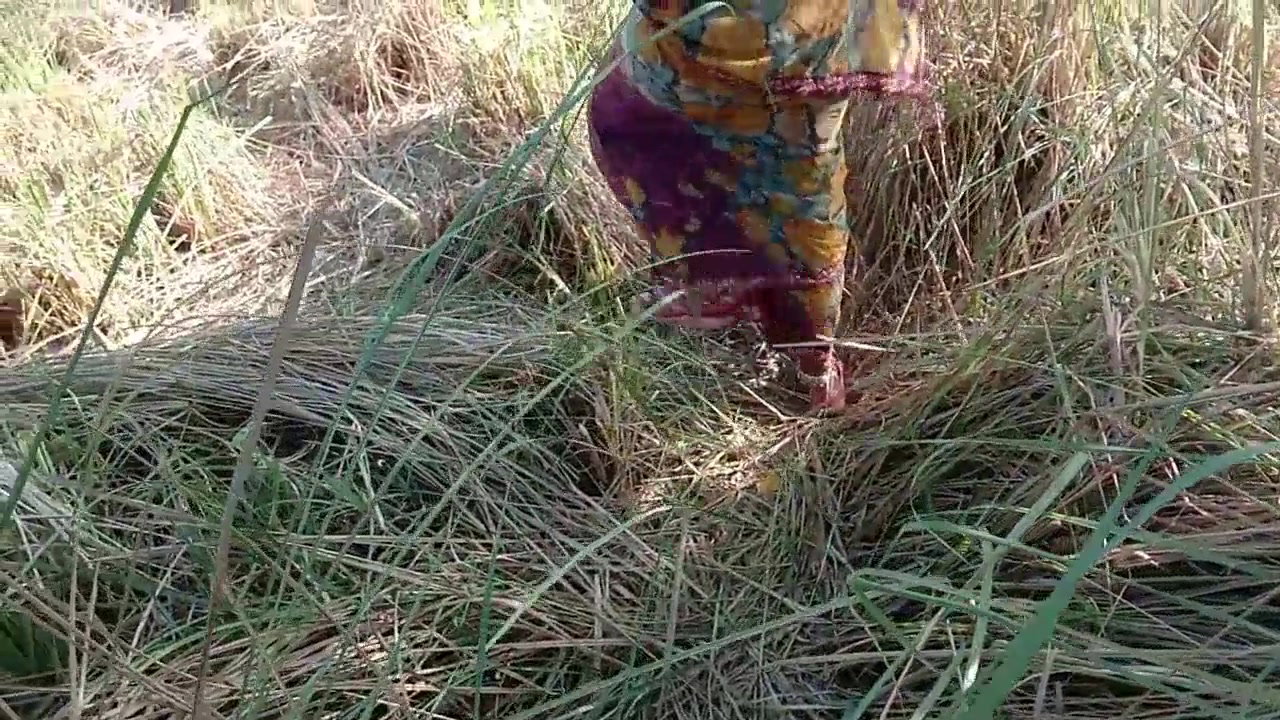 Frame 10