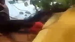 Village Lovers Jungle