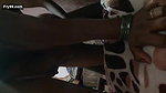 Village bhabhi doggy fucking