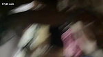 Village bhabhi doggy fucking