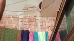 Cute Village Girl Showing