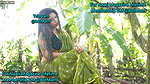 Ahona Green Nature Uncut