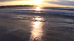 Beach Audience_dda1b2d9