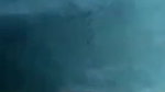 Married bhabhi blowing