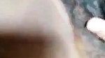 Bigboob Horny Girl