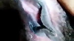 Bigboob Horny Girl