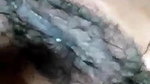 Bigboob Horny Girl