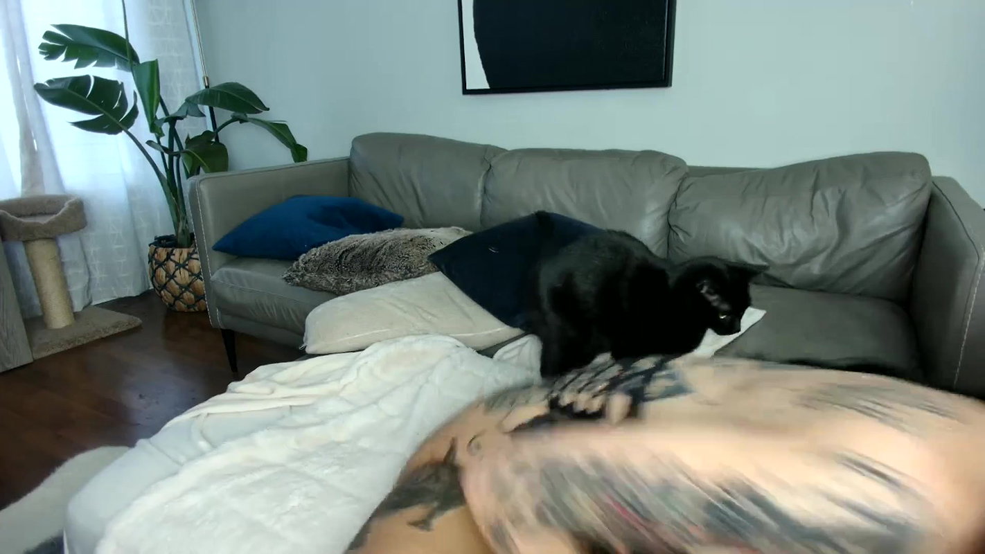 milfybaby webcam myfreecams 6