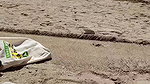 Latina fucked doggystyle at the beach_dd1c5195
