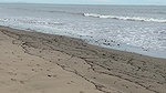Big Ass Latina Tru Kait Sex in Beach House in Venice_d228b91f