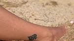Beach girl .137_07c24bc7