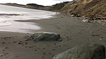 Skinny young indian babe Indiana Fox fucked hard and screaming at the beach by big muscled guy_05962741