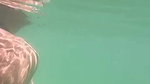 Beauty Babe Topless On The Beach_a690ec3a
