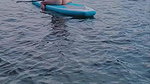 I met her on the beach and she asked me to fuck her really hard in the bushes_00f25123