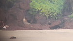 Girl on public beach webcam and guy fucks latin Fuck me Like a lil WHORE_666c26ac