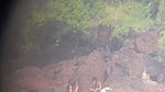 Girl on public beach webcam and guy fucks latin Fuck me Like a lil WHORE_666c26ac