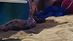 Brazilian MILF pornstar Francys Belle ass fucked at the beach by Kevin White_2c27a2dd