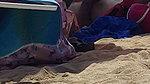 Brazilian MILF pornstar Francys Belle ass fucked at the beach by Kevin White_2c27a2dd