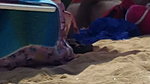 Brazilian MILF pornstar Francys Belle ass fucked at the beach by Kevin White_2c27a2dd