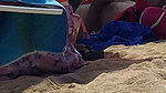 Brazilian MILF pornstar Francys Belle ass fucked at the beach by Kevin White_2c27a2dd