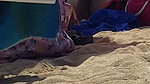 Brazilian MILF pornstar Francys Belle ass fucked at the beach by Kevin White_2c27a2dd