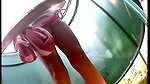Old gay masturbation beach and gay sex shorting Riding Hard Cock In_61e51c9c
